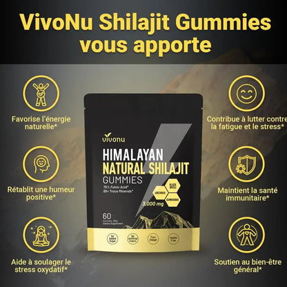 Gommes Énergétiques Shilajit de l'Himalaya CMY