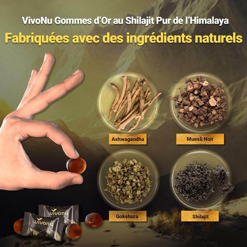 Gommes Énergétiques Shilajit de l'Himalaya CMY